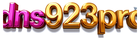 dns923pro